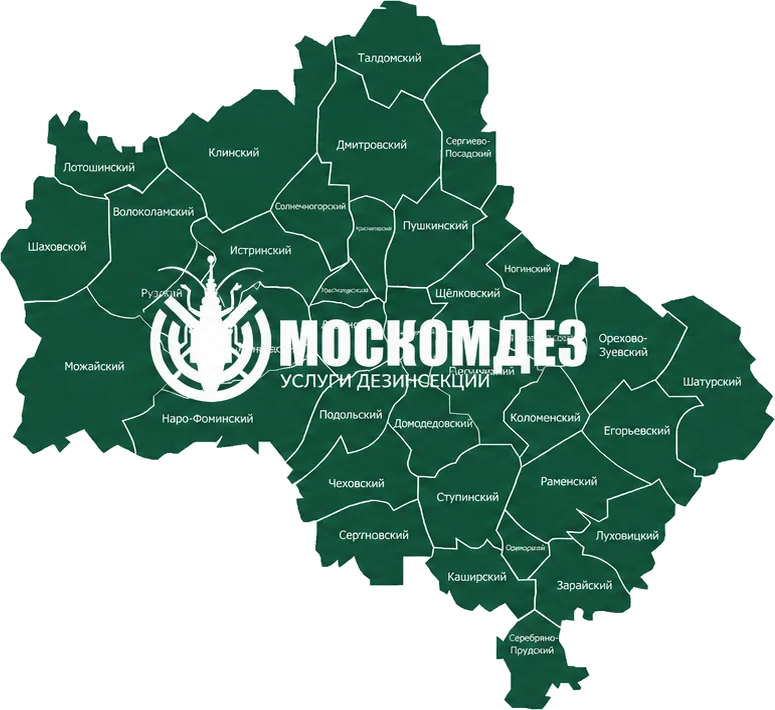 Карта выезда: Серпухов и Московская область